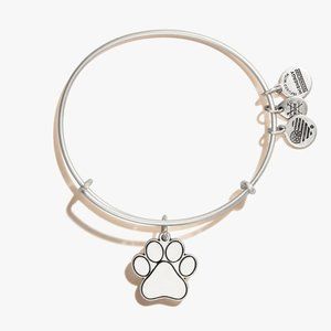 Alex and Ani “Prints of Love” bracelet